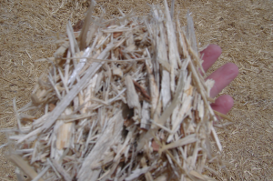 Animal Bedding / Mulch