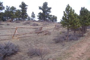 Buck and Rail Fence