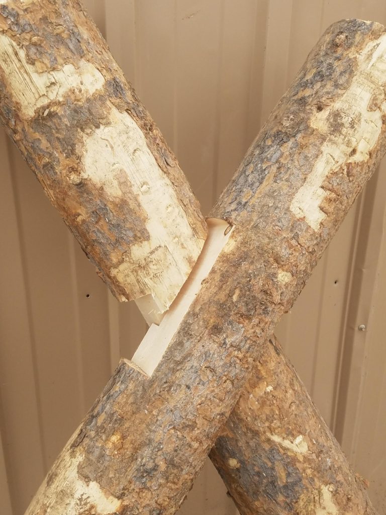 Buck and Rail Fence Lodgepole Products, Inc.