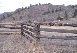 Z Fence Z Fence